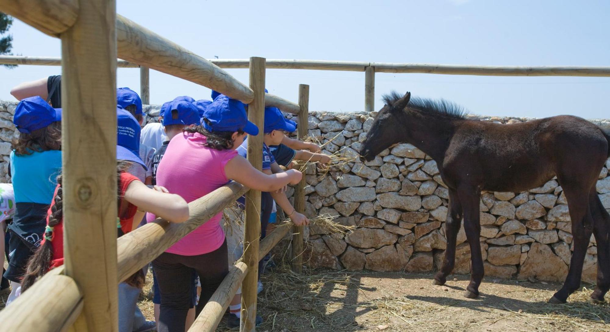 Agriturismo Scalelle Otranto Buitenkant foto