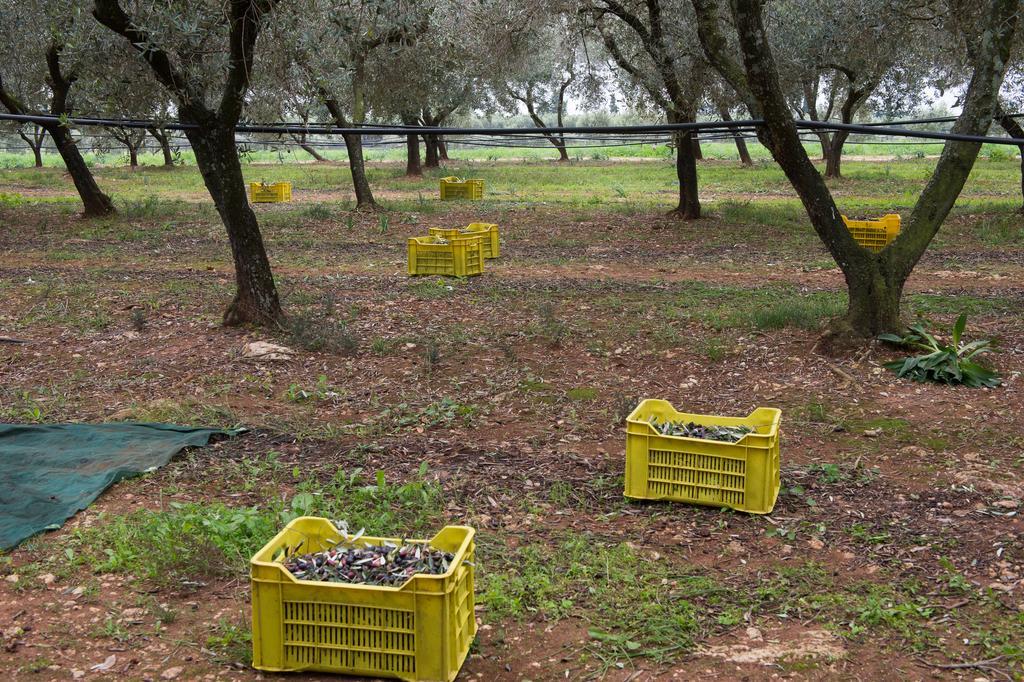 Agriturismo Scalelle Otranto Buitenkant foto